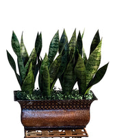 Artificial PVC Snake Plant Ottawa